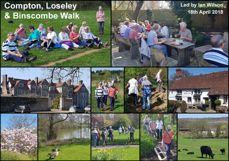 Walk - Compton, Loseley & Binscombe - 18th April 2018